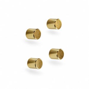 gouden magneten neodymeum