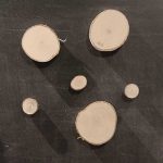 Magneet Boomstam blanco (4)