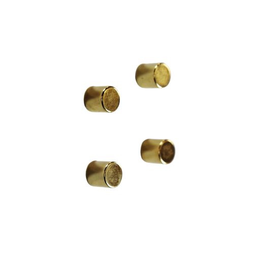 Magneet neodymium goud (4) 1.1