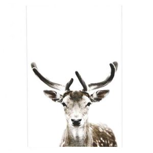 Magneetposter 10×15 DEER