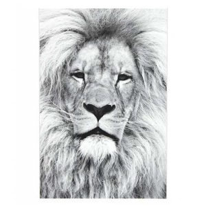 Magneetposter LION