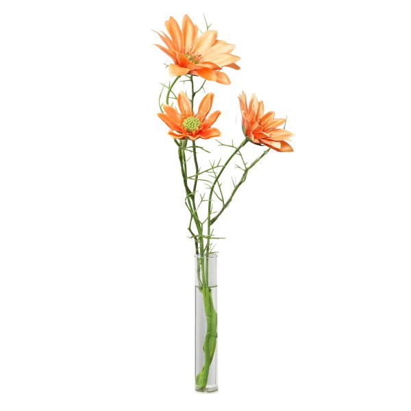 Magnetische vaas transparant