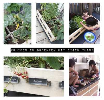 kruidentuin ontwerpfeestjes