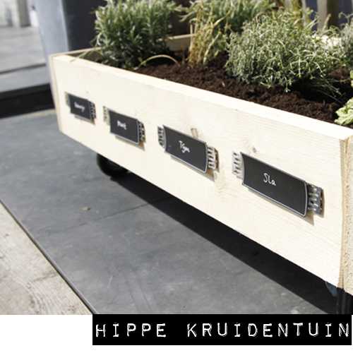 kruidentuin steigerhout