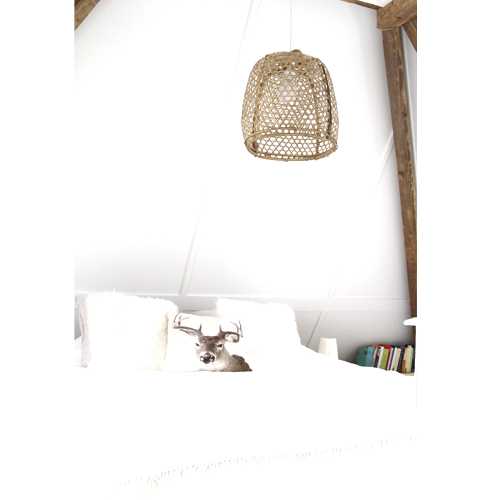 lamp hanenmand