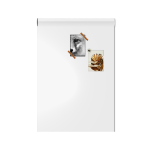 magneetbord_magneet_whiteboardbehang_wit