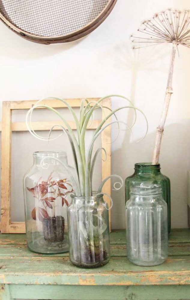 potten_planten